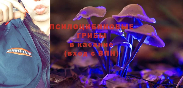 ECSTASY Верхний Тагил